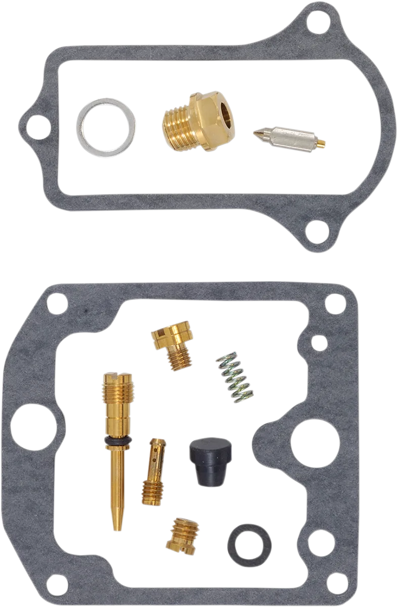 Carburetor Repair Kit