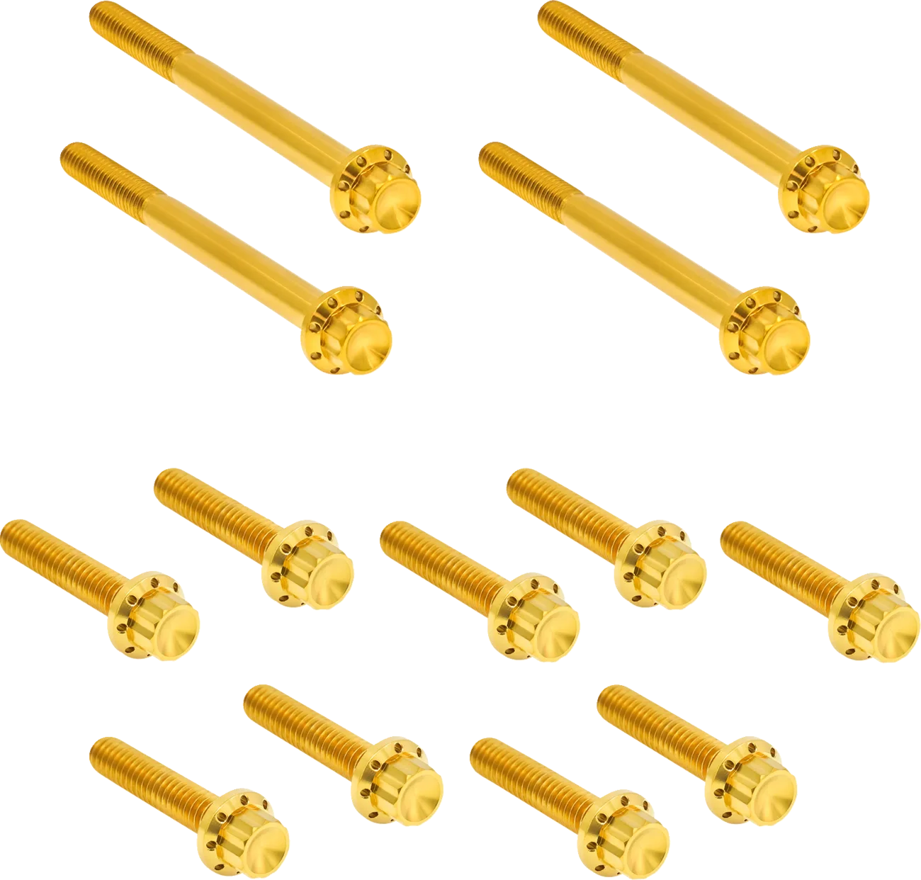 Outer Primary Cover Titanium 12-Point Bolt Kit