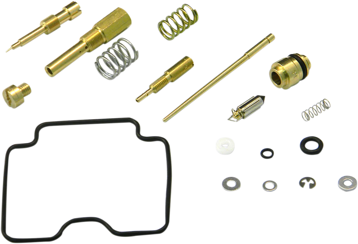 Carburetor Repair Kit