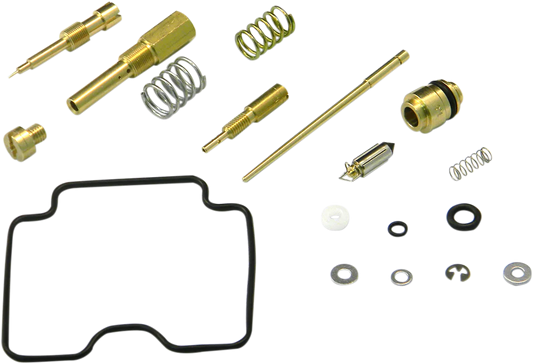Carburetor Repair Kit