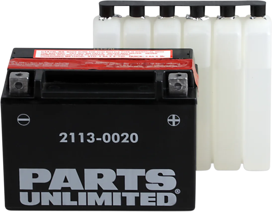 AGM Maintenance-Free Battery