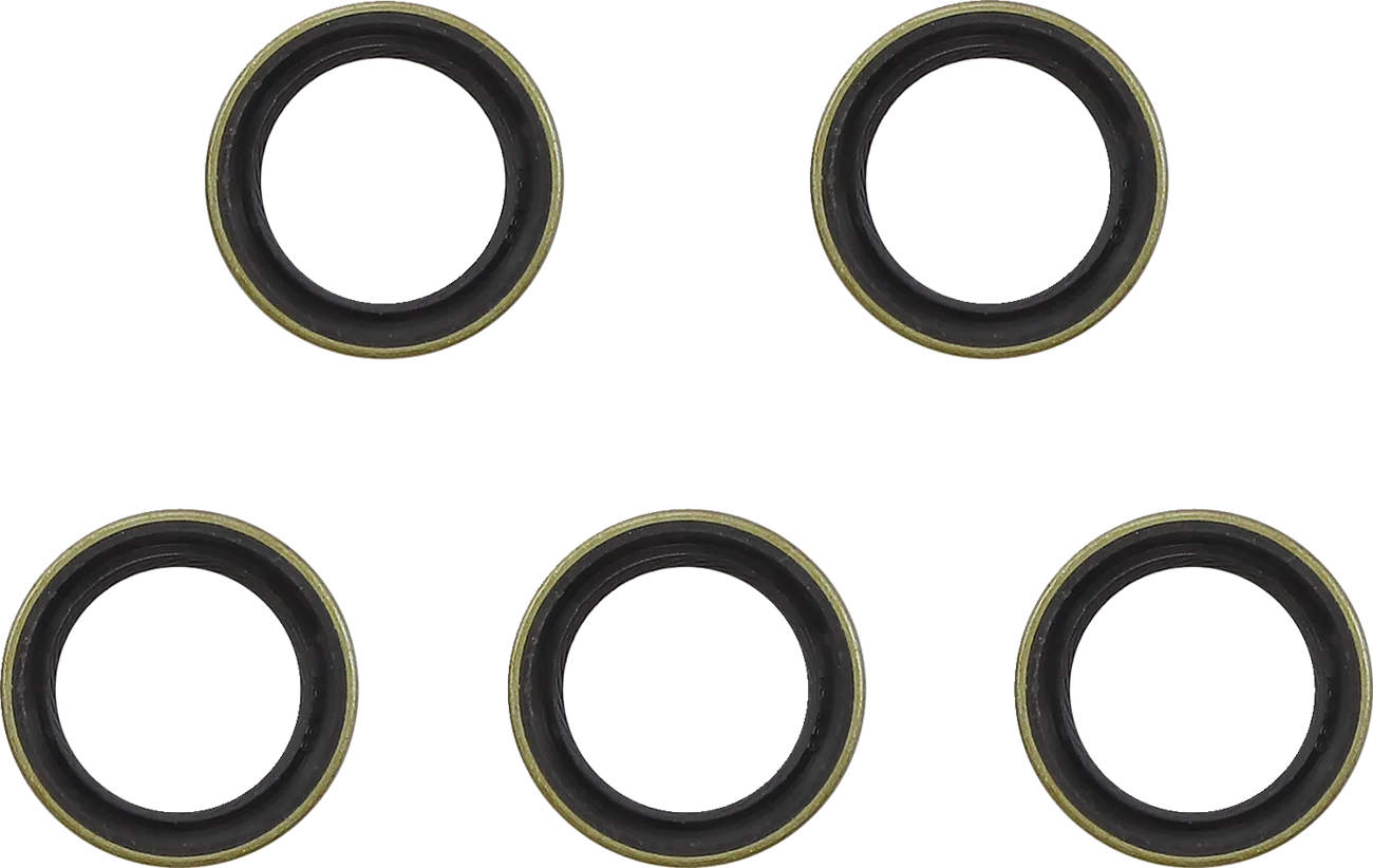 Main Drive Gear Seal Kit
