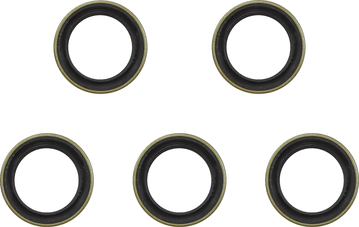 Main Drive Gear Seal Kit