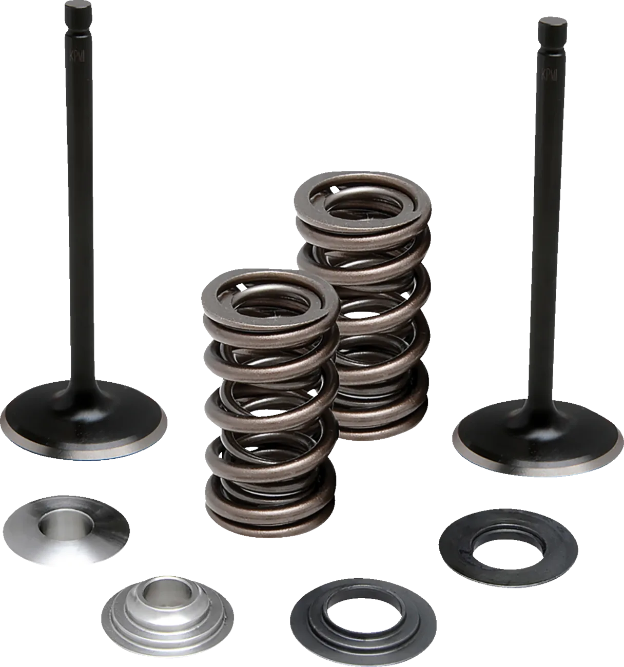 Valve and Spring Kit