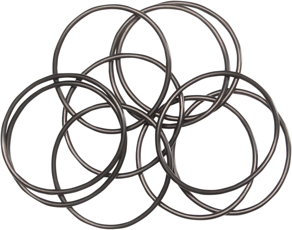 Oil Pump O-Ring