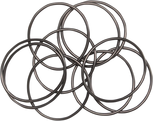 Oil Pump O-Ring