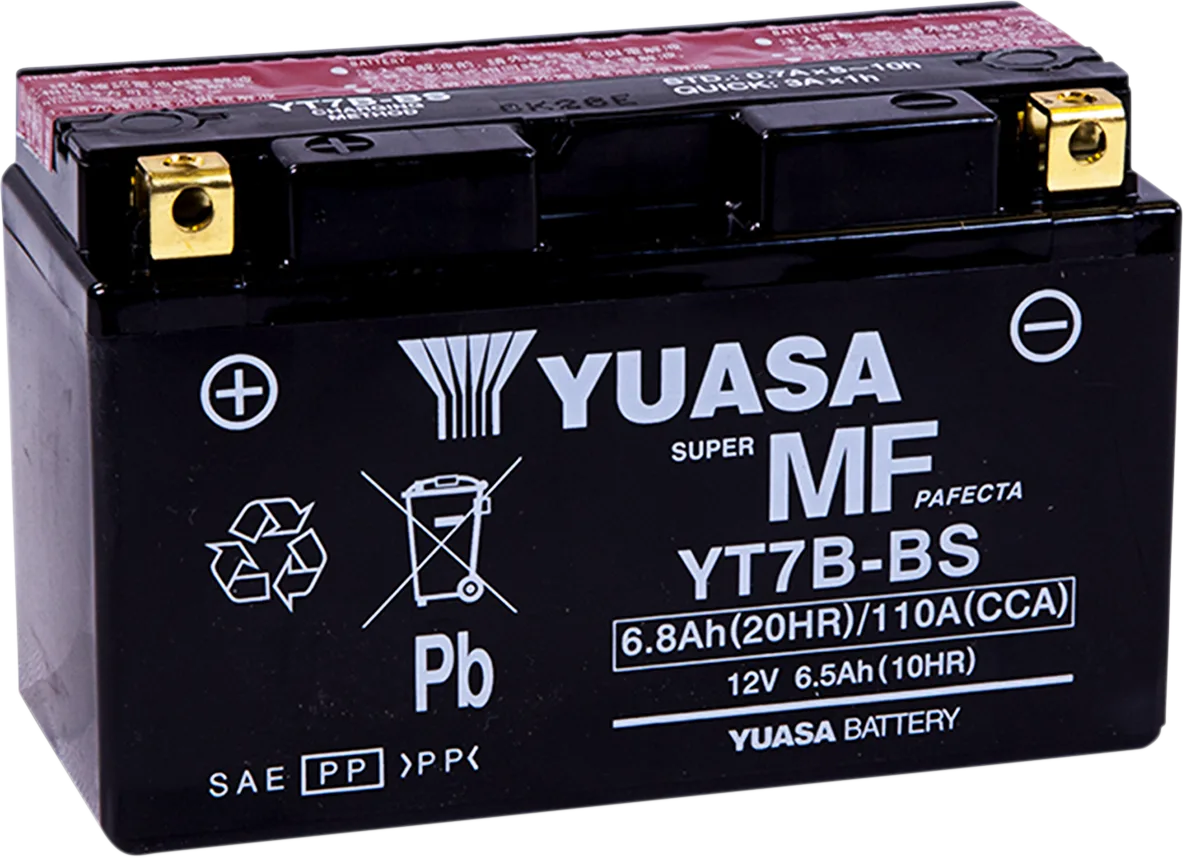 AGM Maintenance-Free Battery