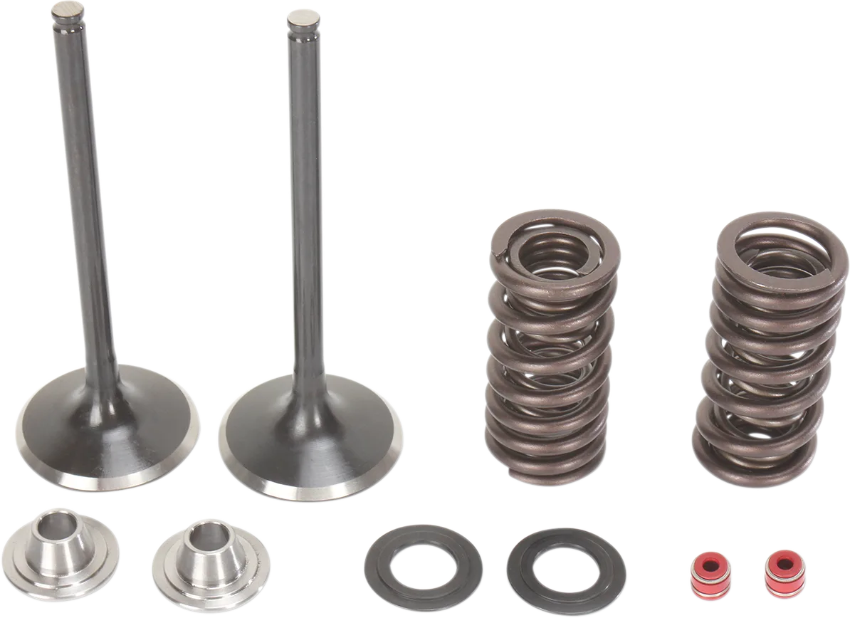 Intake Valve and Spring Kit