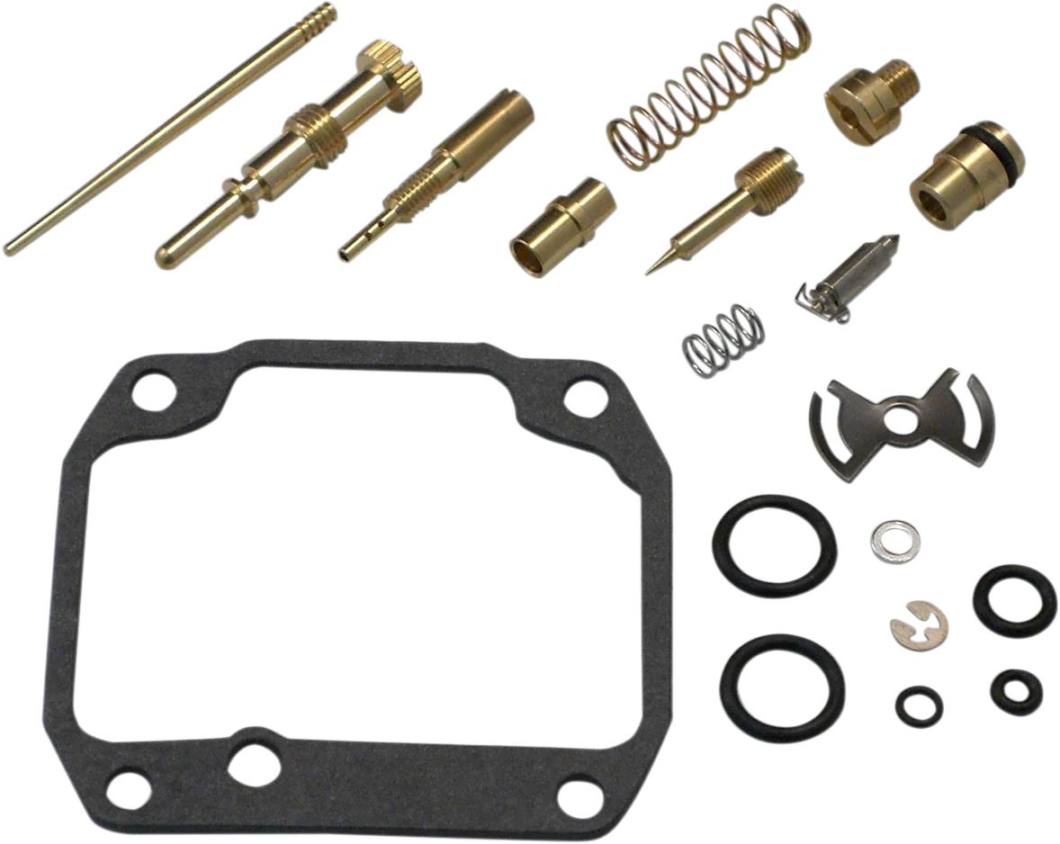 Carburetor Repair Kit