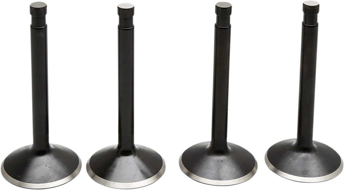Black Diamond™ Engine Valve Kit