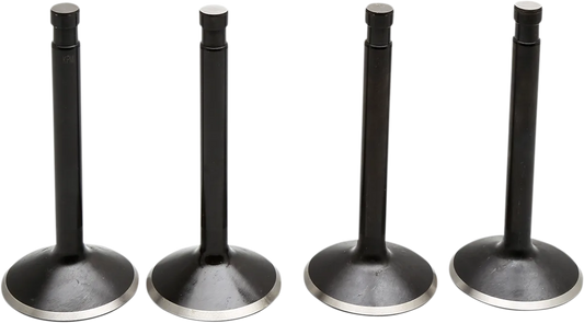 Black Diamond™ Engine Valve Kit