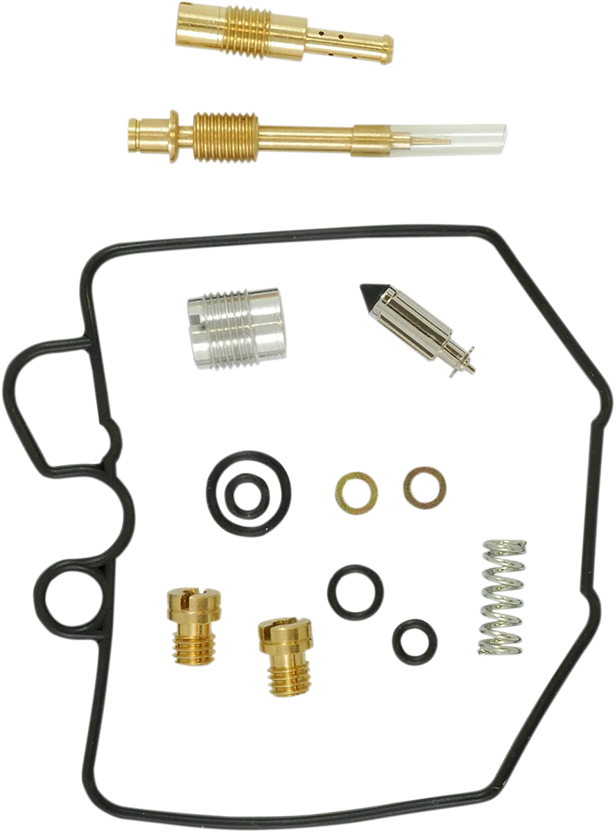 Carburetor Repair Kit