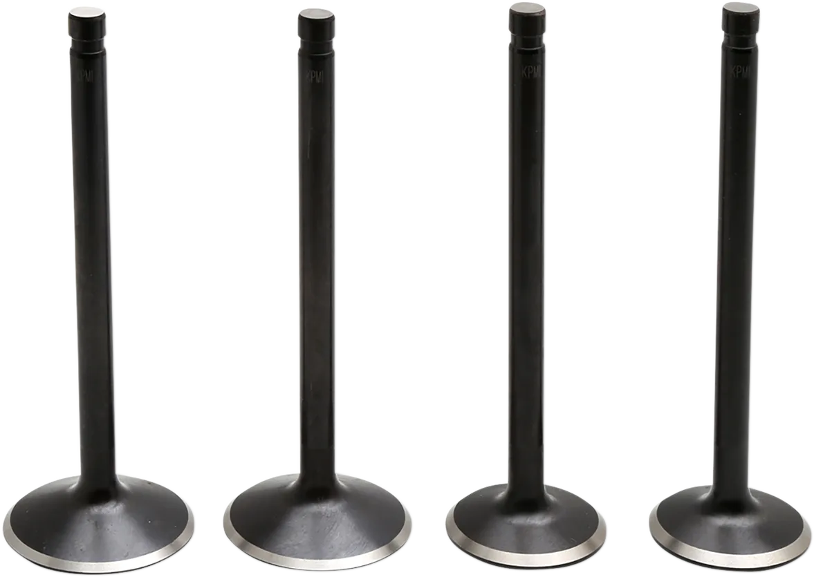 Black Diamond™ Engine Valve Kit
