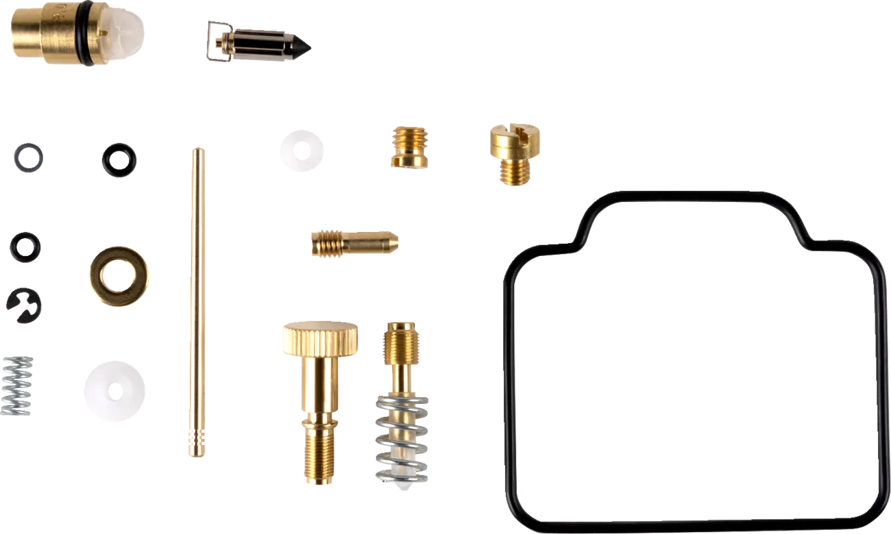 Carburetor Repair Kit