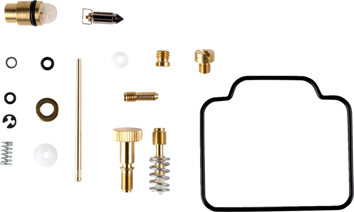 Carburetor Repair Kit