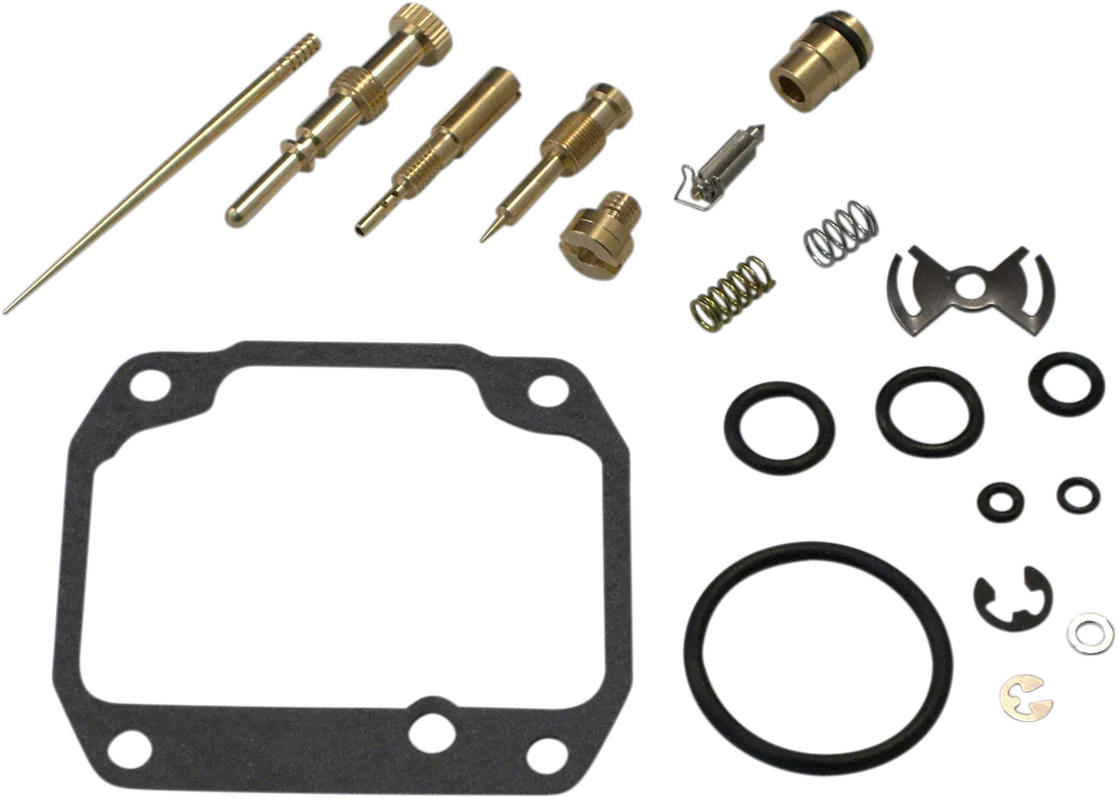 Carburetor Repair Kit