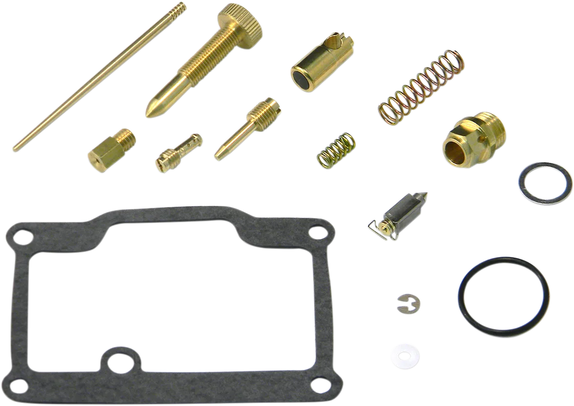 Carburetor Repair Kit
