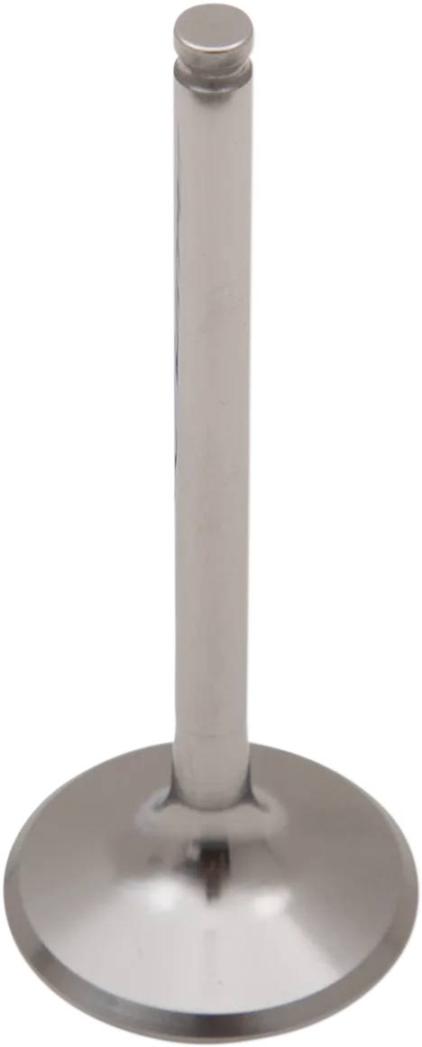 Titanium Engine Valve