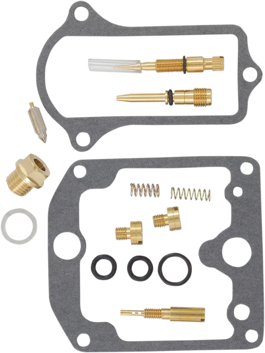 Carburetor Repair Kit