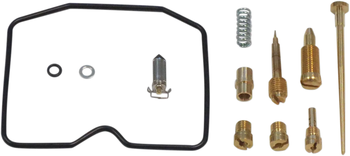 Carburetor Repair Kit