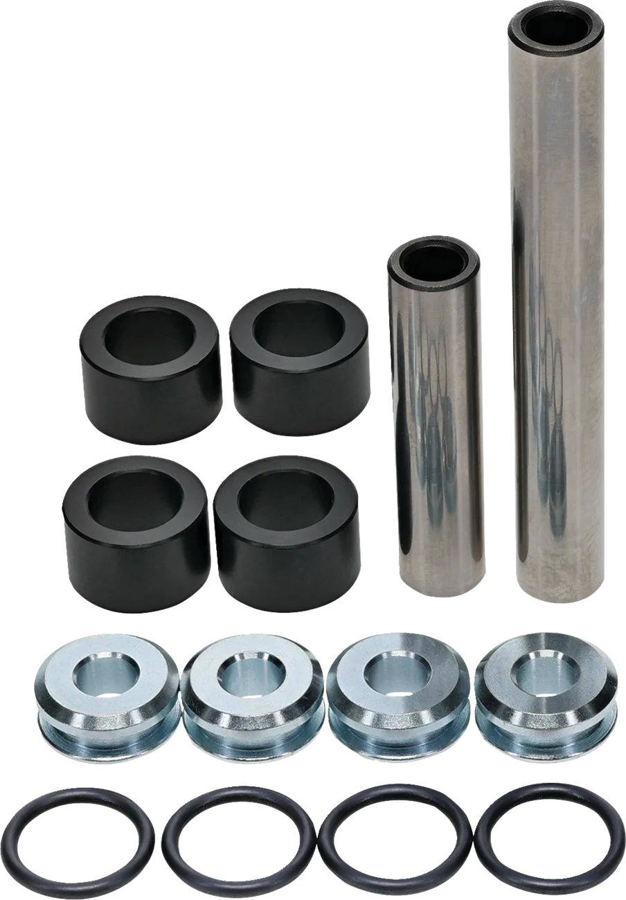 Rear Independent Suspension Linkage Rebuild Kit