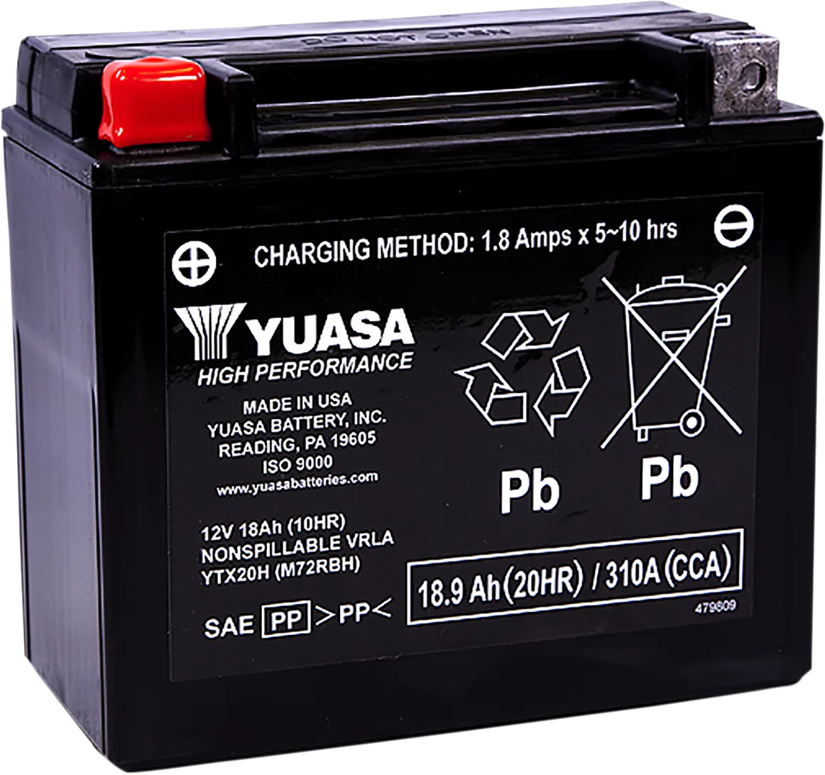 AGM Maintenance-Free Battery