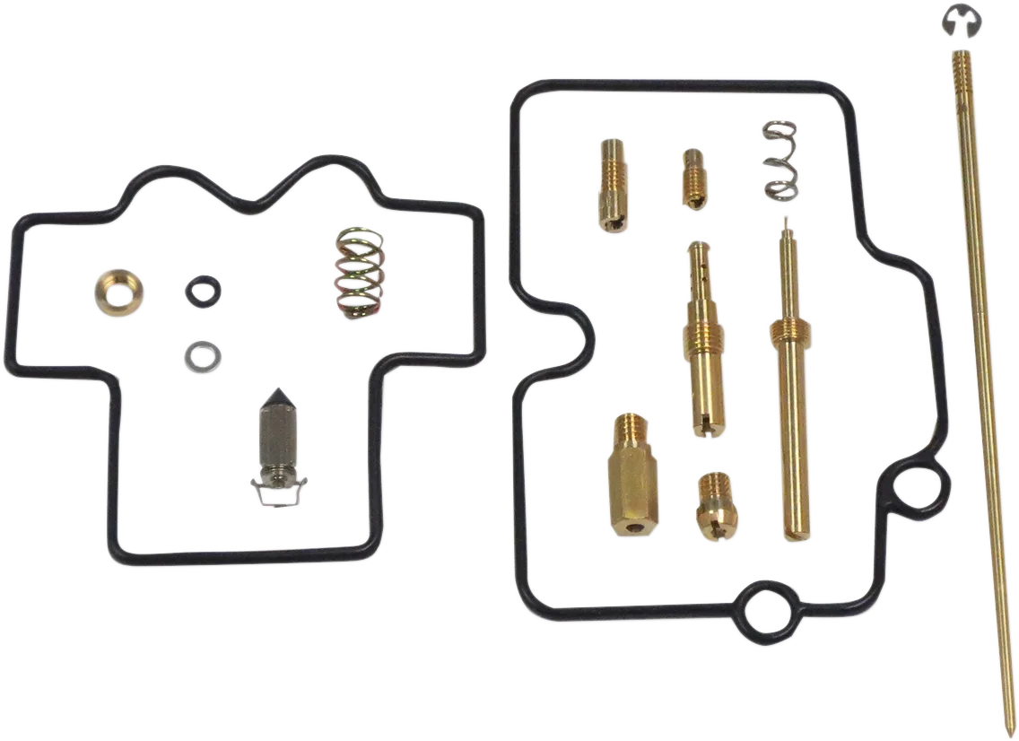 Carburetor Repair Kit