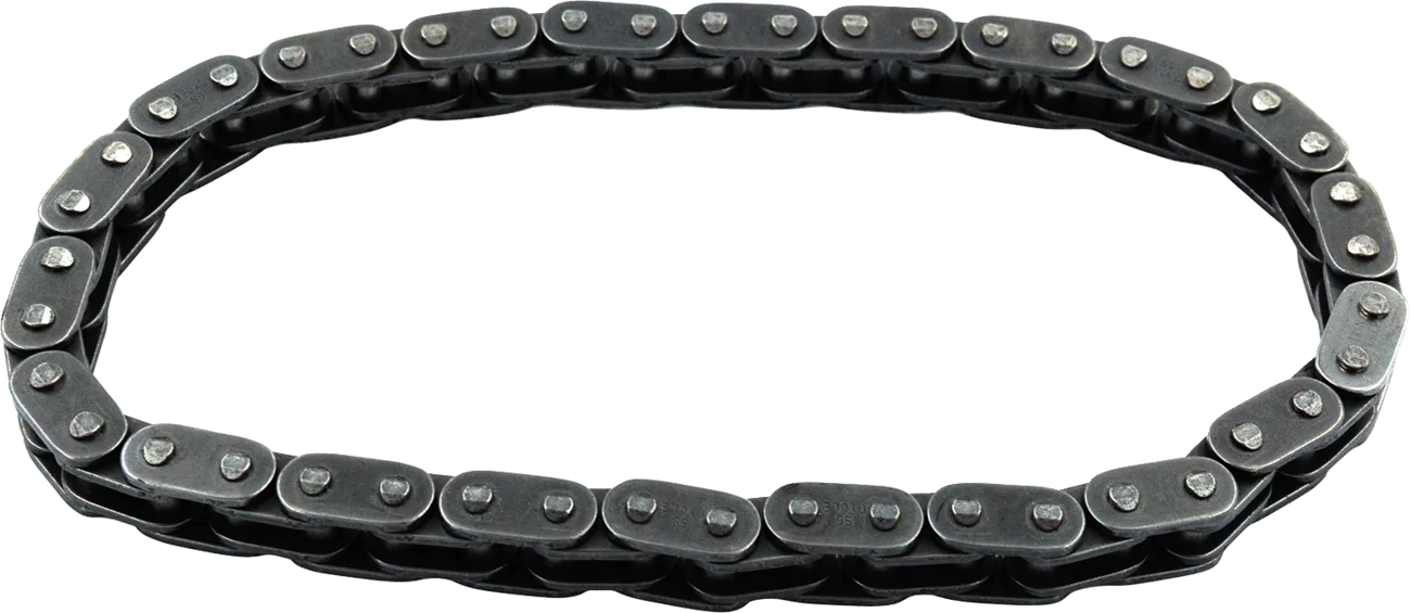 Cam Chain