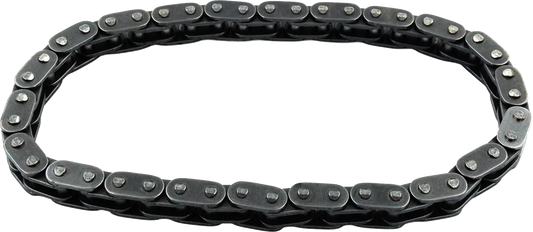 Cam Chain