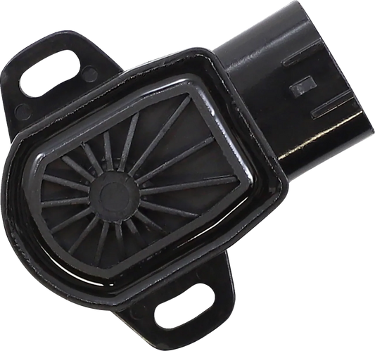 Throttle Position Sensor
