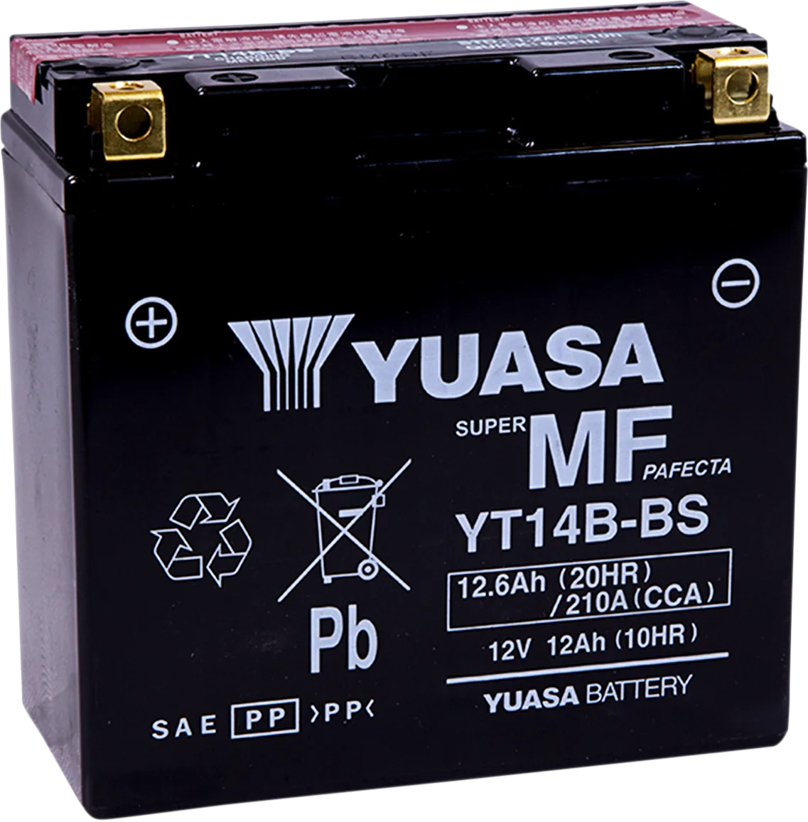 AGM Maintenance-Free Battery