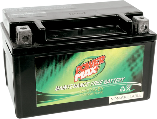 Maintenance-Free Battery
