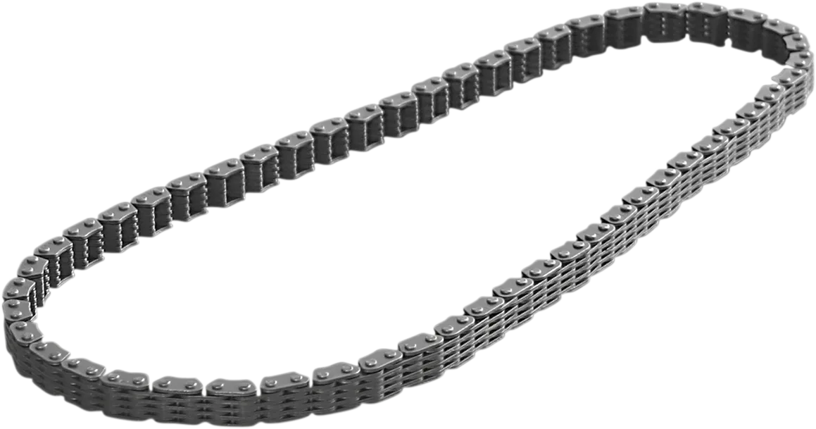 Cam Chain