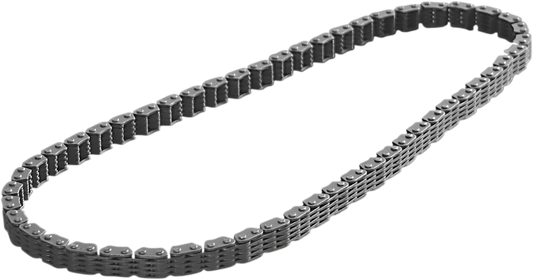 Cam Chain