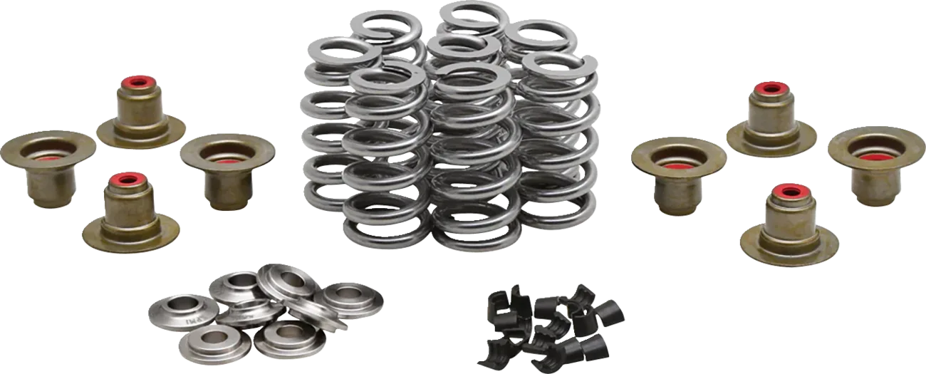 Beehive Valve™ Spring Kit