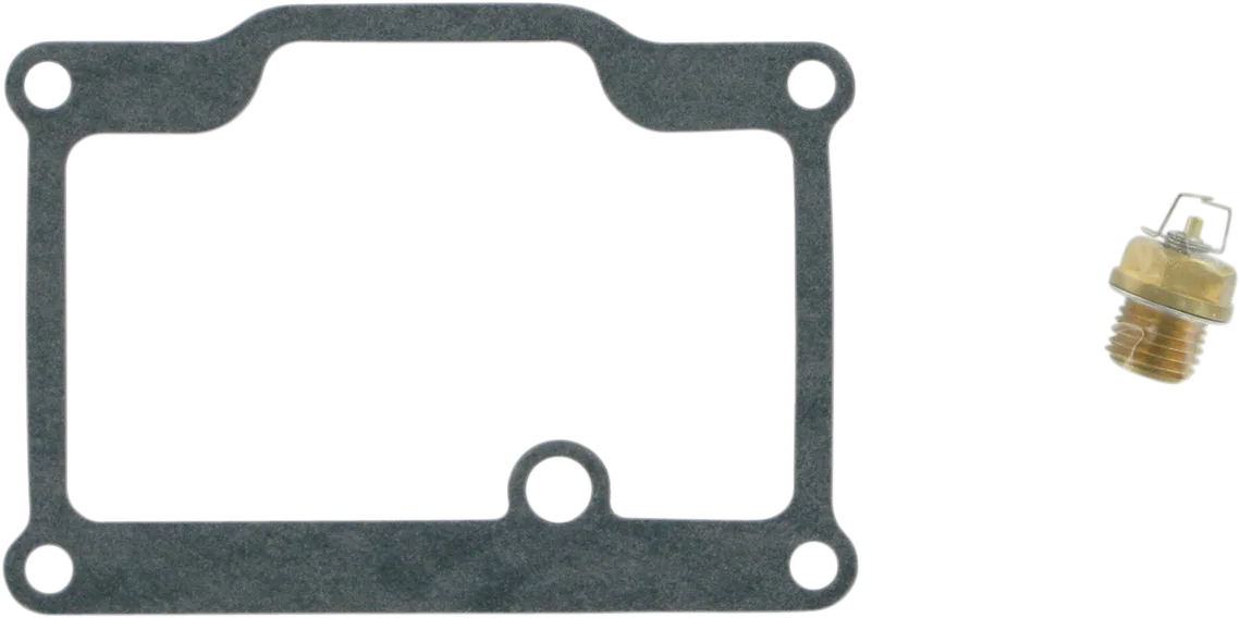 Carburetor Repair Kit