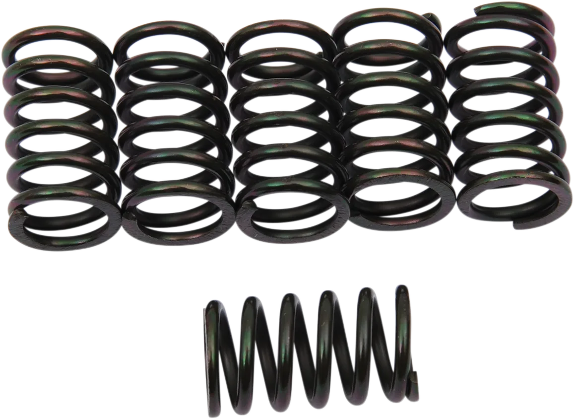 Clutch Spring Kit