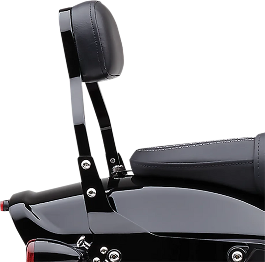 Detachable Backrest Kit