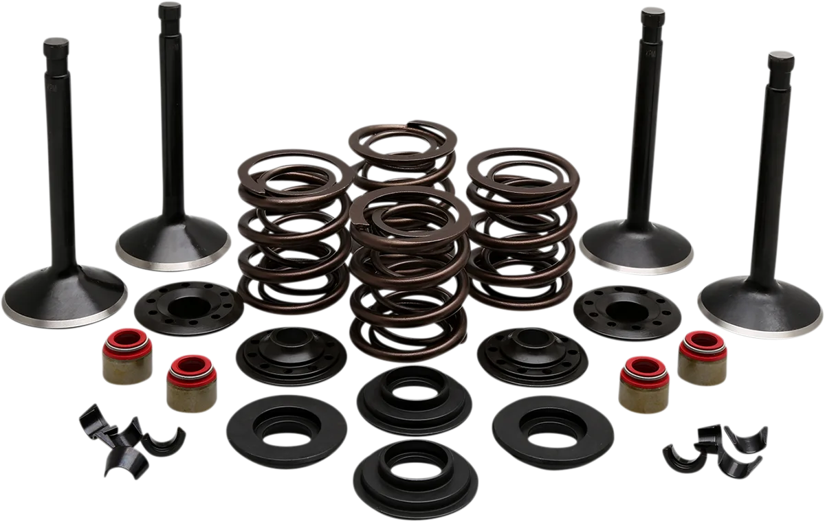 Engine Valve Kit