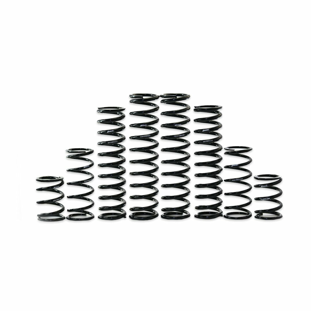 Dual Rate Spring Kit
