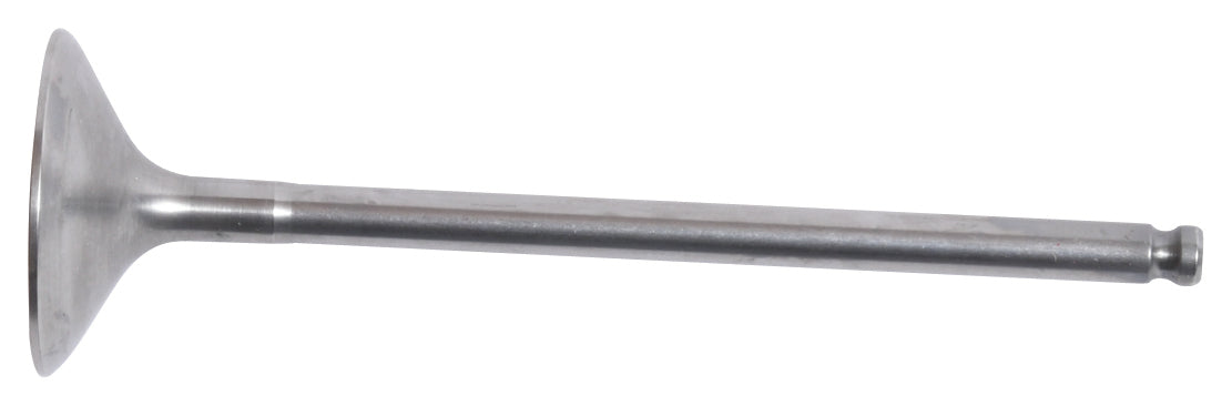 Exhaust Valve