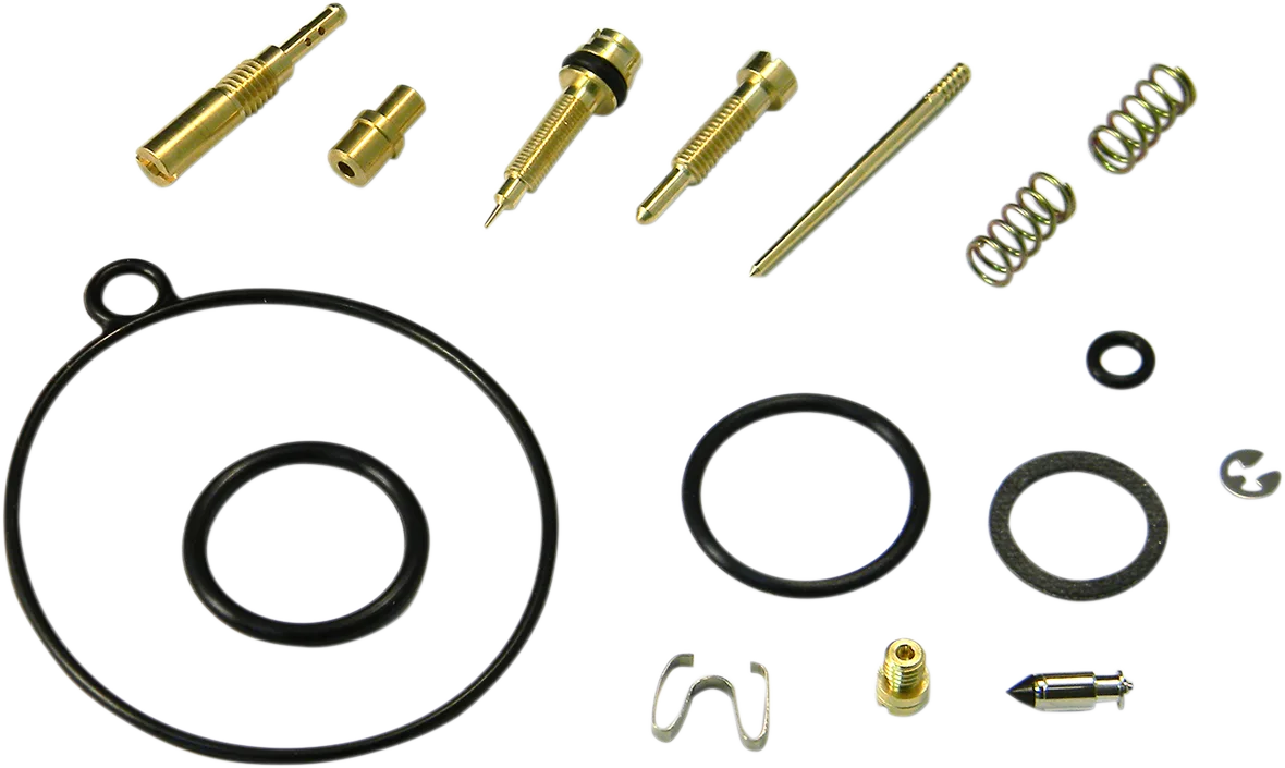 Carburetor Repair Kit