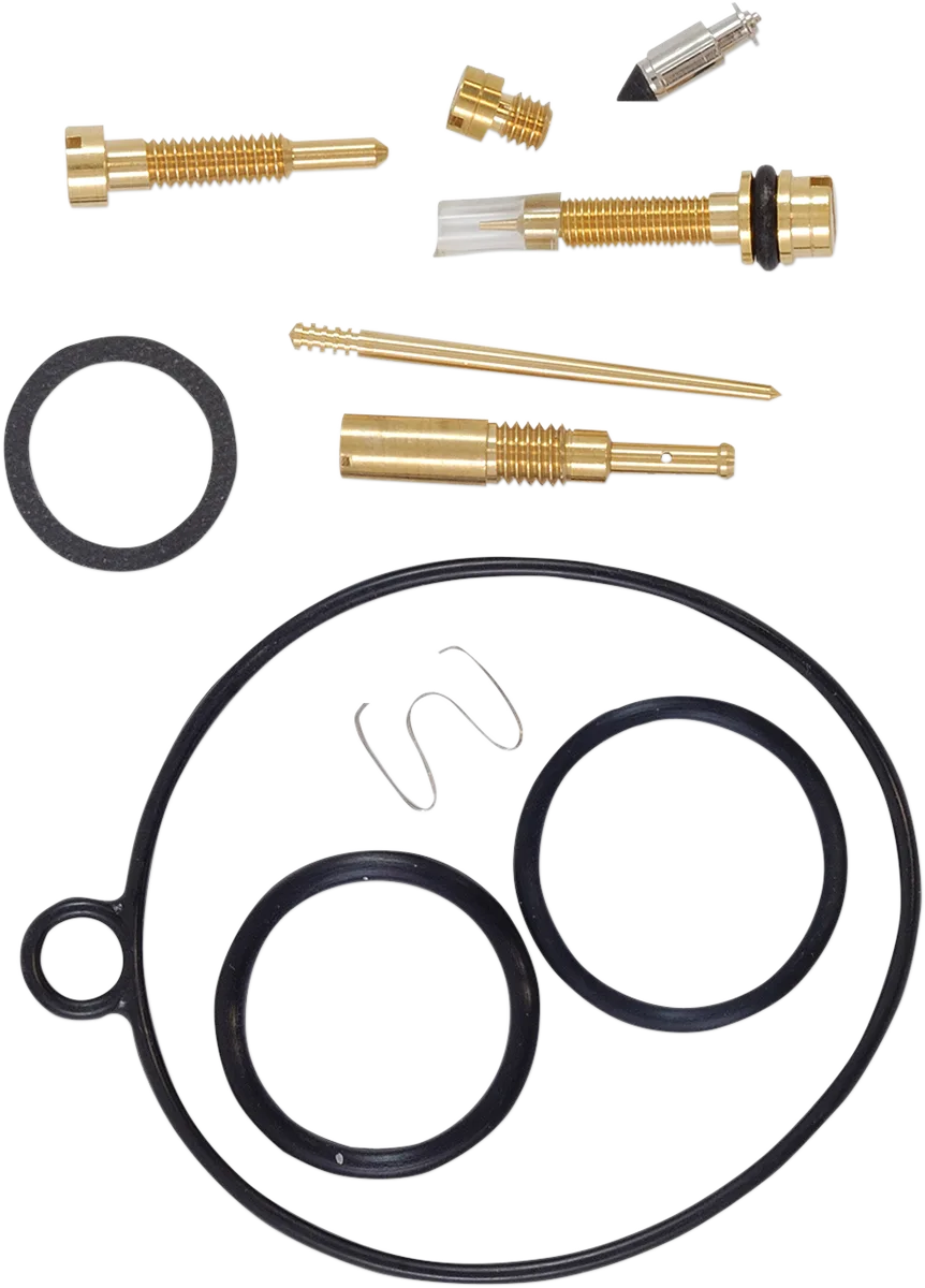Carburetor Repair Kit
