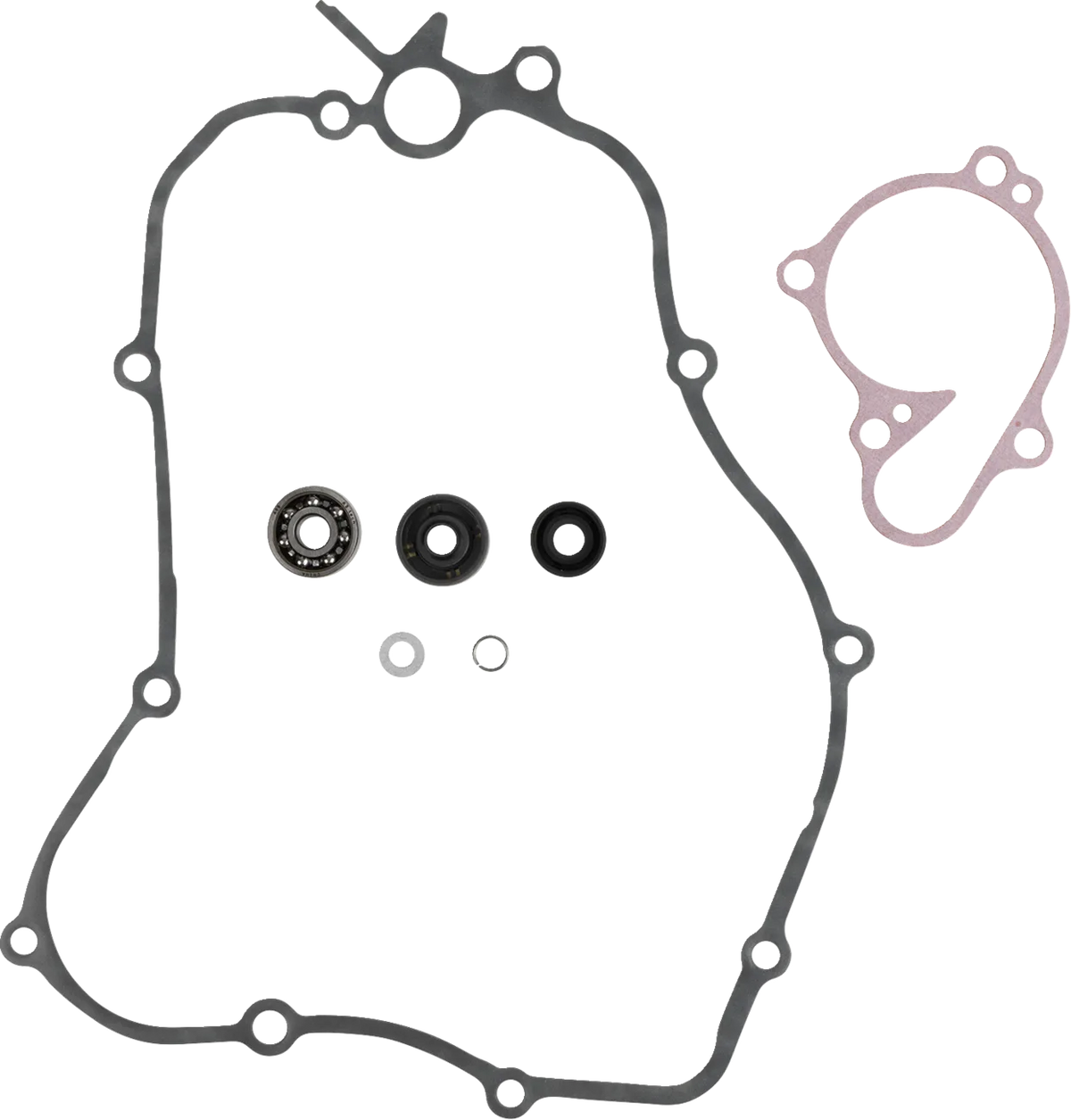 Water Pump Rebuild Kit