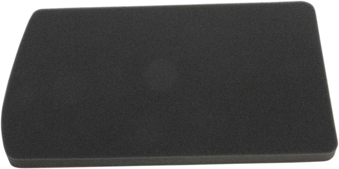Replacement Air Filter