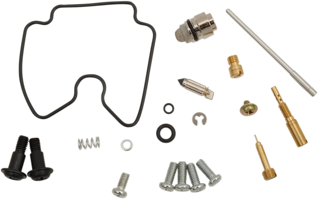 Carburetor Repair Kit