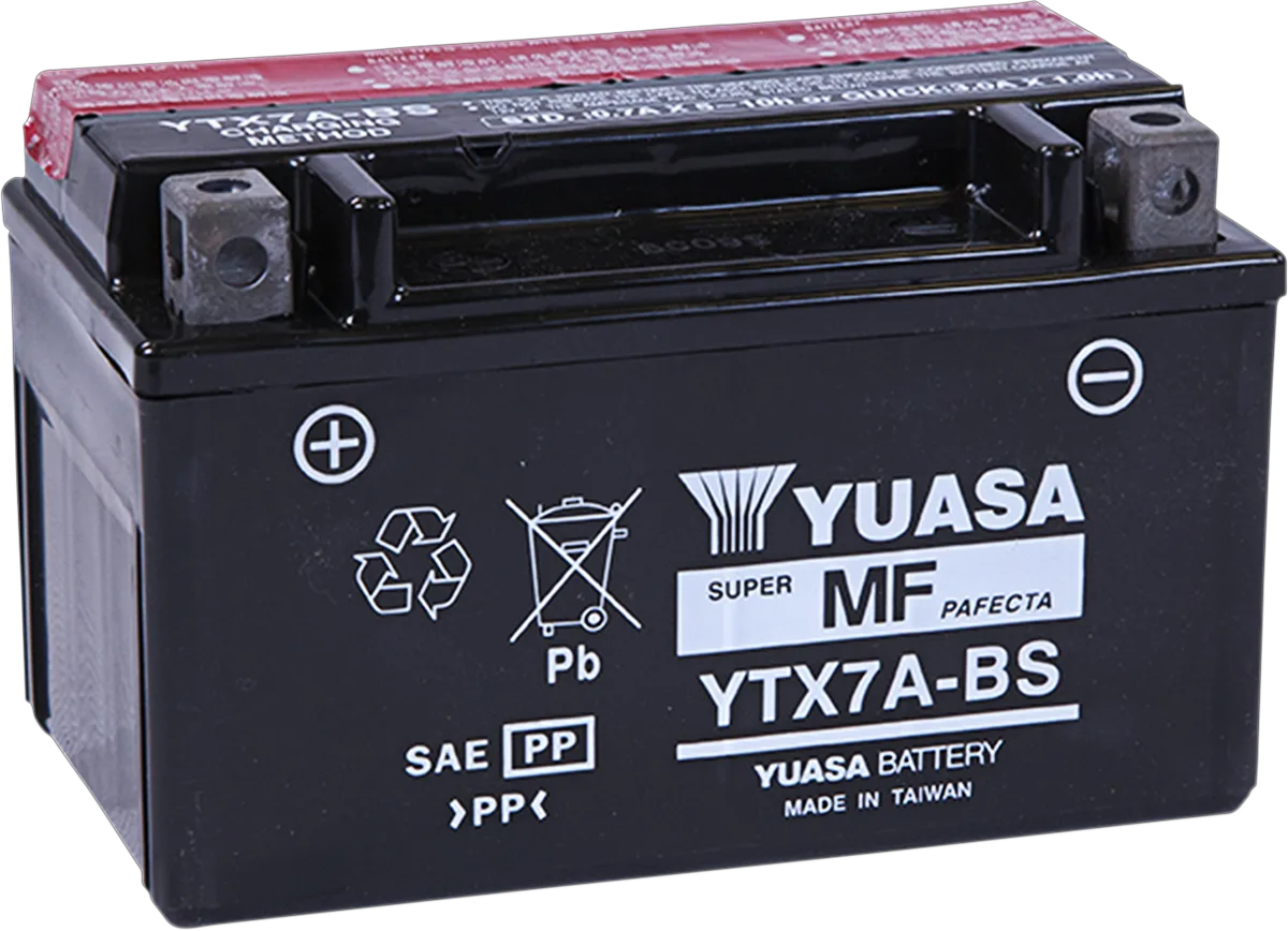 AGM Maintenance-Free Battery