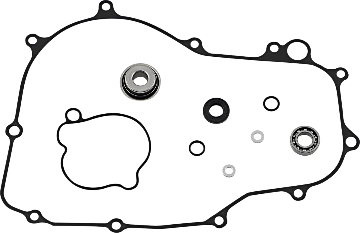 Water Pump Rebuild Kit