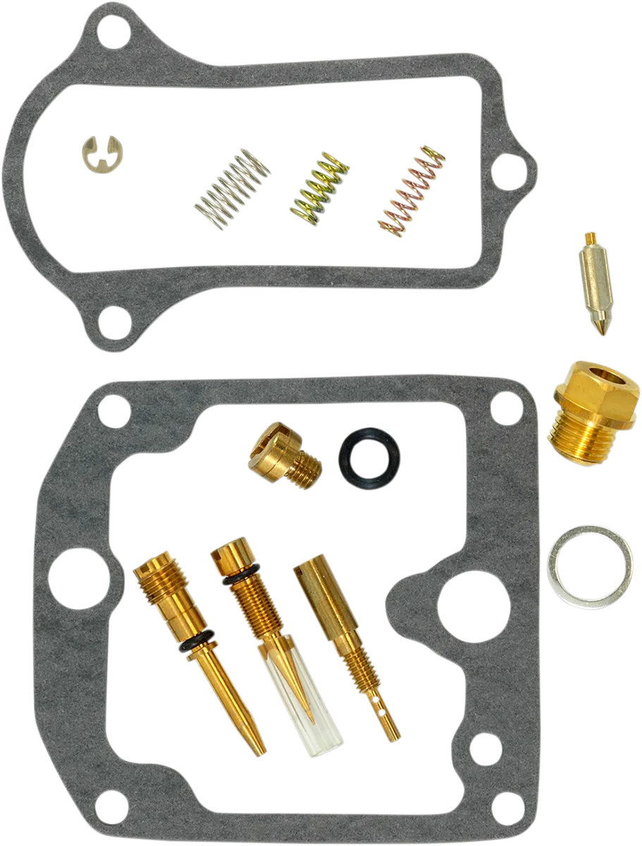 Carburetor Repair Kit