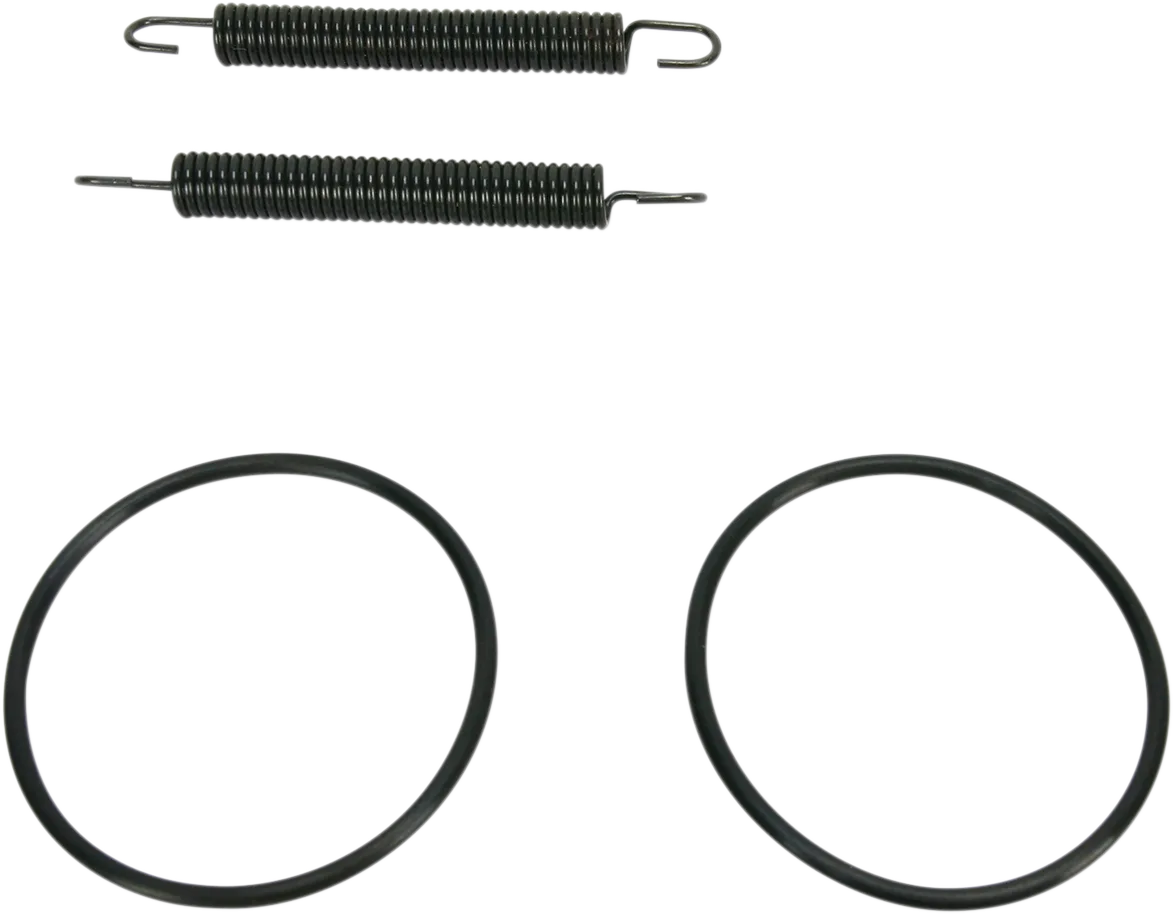 Pipe Spring/O-Ring Kit